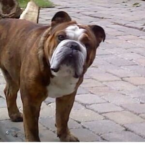 UNLISTED FREE PEOPLE, ANTRO, URBAN OUTFITTERS LIVE LISTING